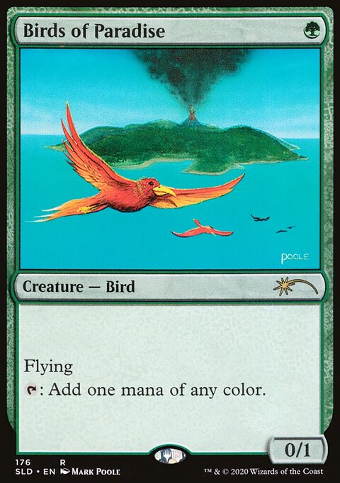 Birds of Paradise