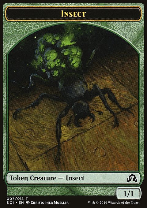 Insect