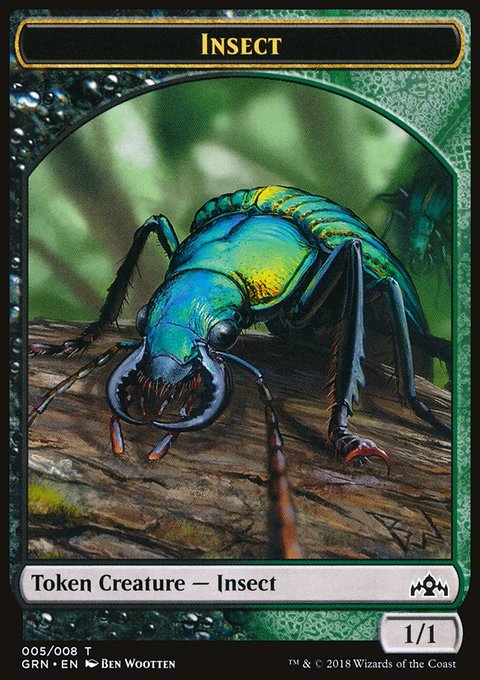 Insect