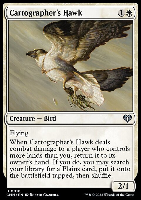 Cartographer's Hawk