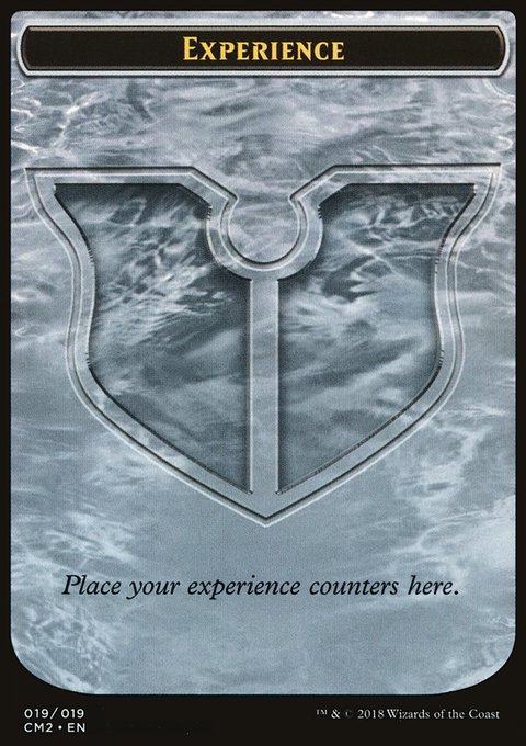 Experience