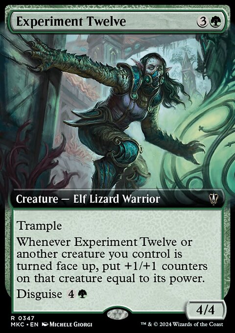 Experiment Twelve