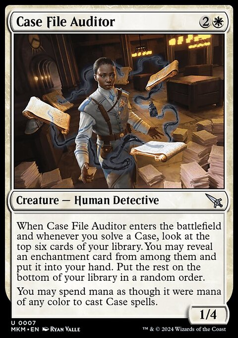 Case File Auditor