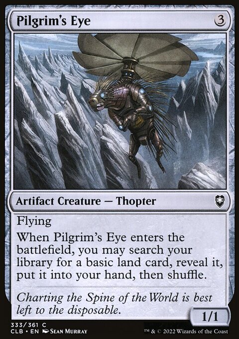 Pilgrim's Eye