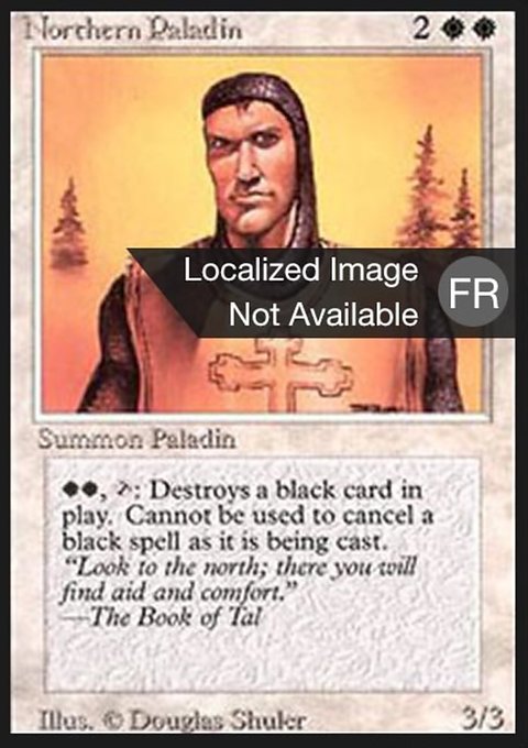 Northern Paladin