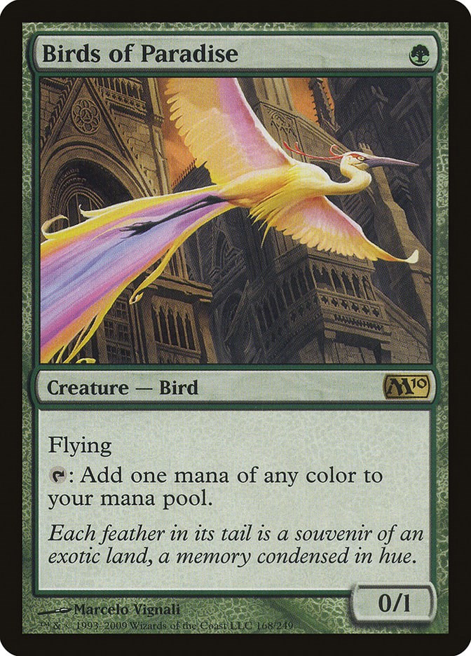 Birds of Paradise [M10 - 168]