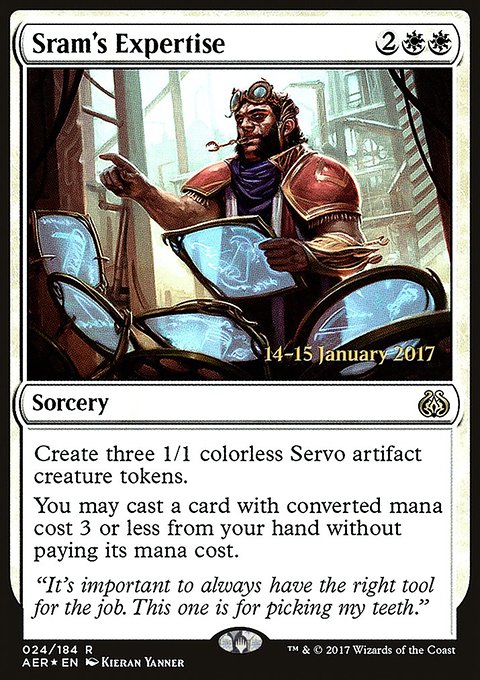 Sram's Expertise
