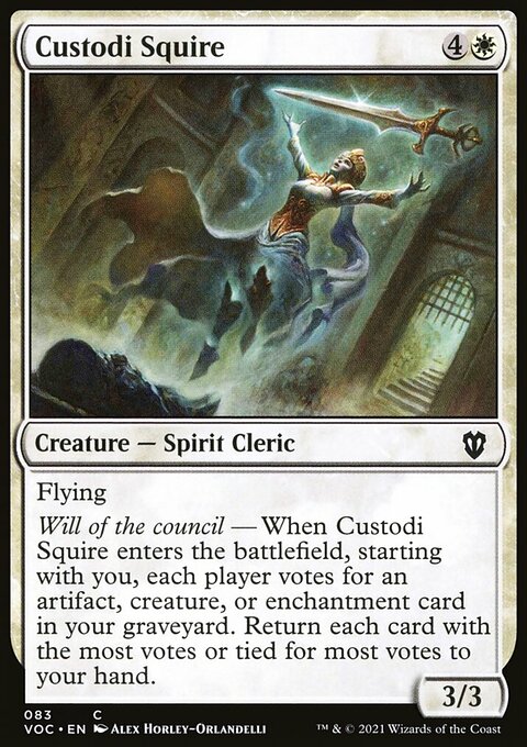 Custodi Squire