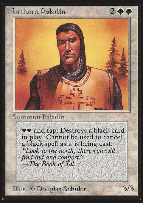 Northern Paladin
