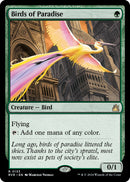 Birds of Paradise