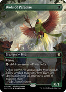 Birds of Paradise (Borderless) [BLC - 81]
