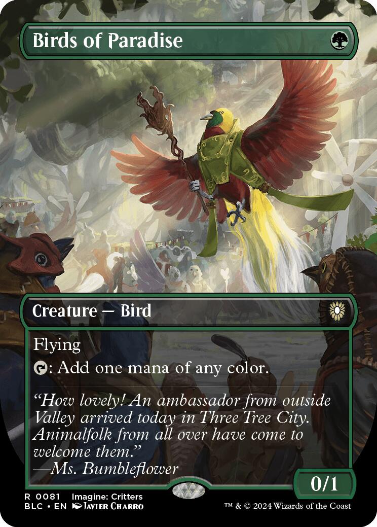 Birds of Paradise (Borderless) [BLC - 81]
