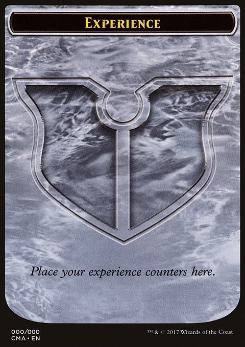 Experience