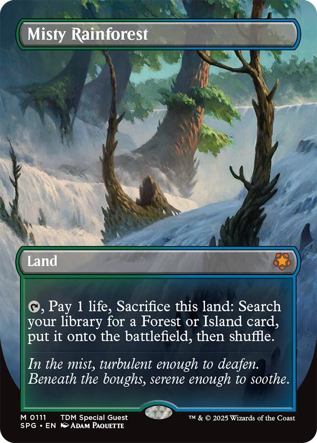 Misty Rainforest (Borderless) [SPG - 111]