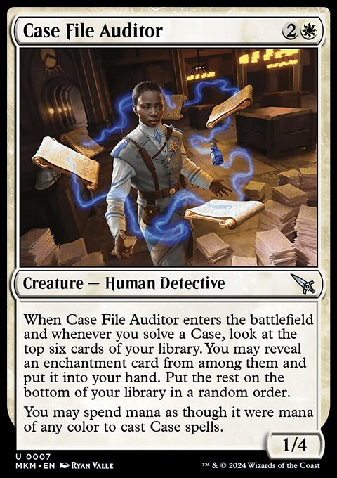 Case File Auditor