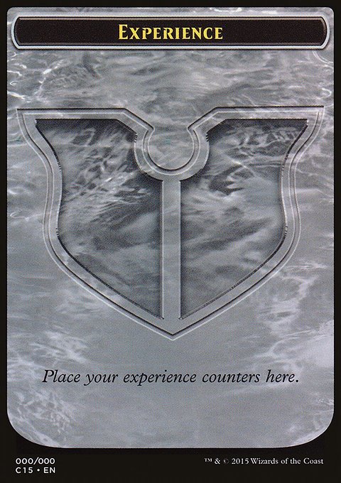 Experience