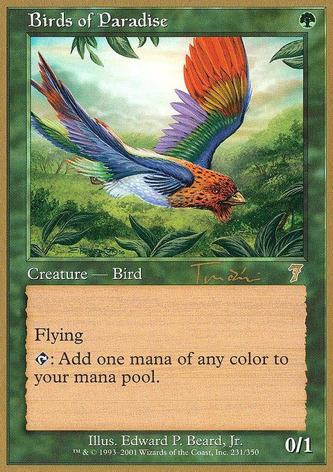 Birds of Paradise