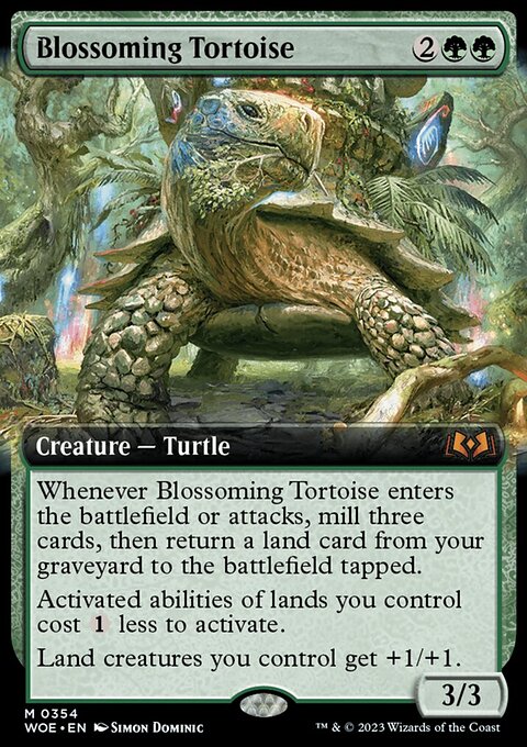 Blossoming Tortoise
