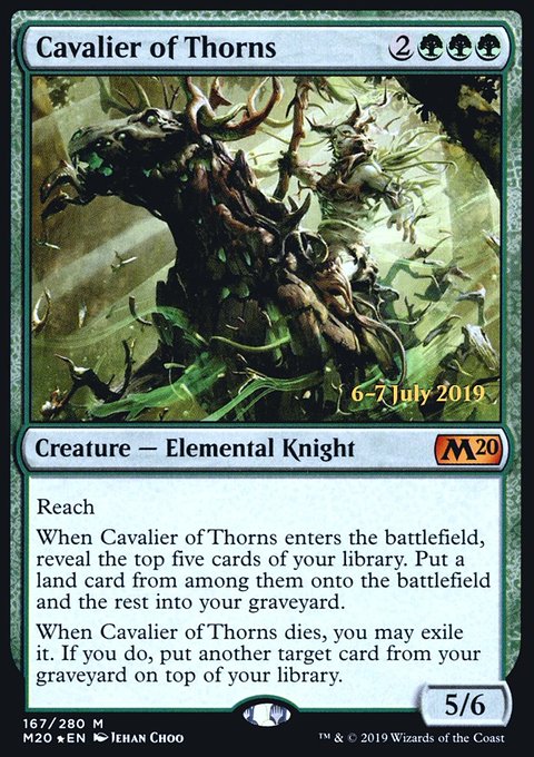 Cavalier of Thorns