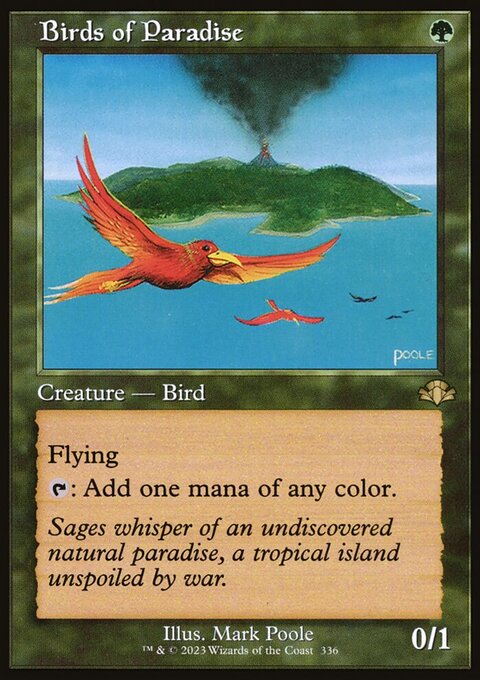 Birds of Paradise