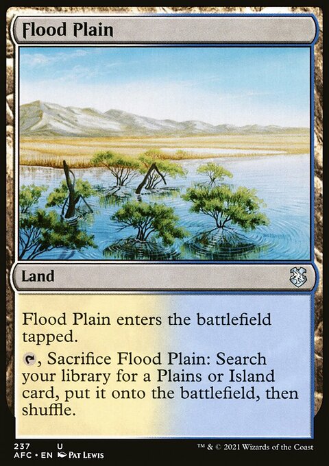 Flood Plain