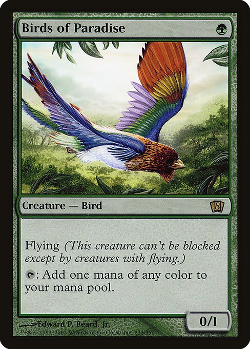 Birds of Paradise