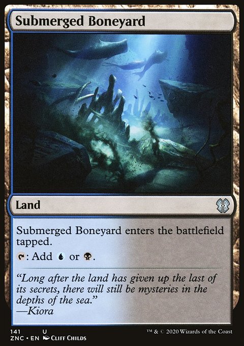 Submerged Boneyard