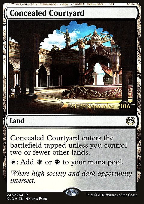 Concealed Courtyard