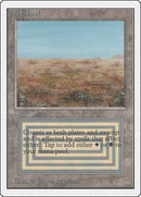Scrubland