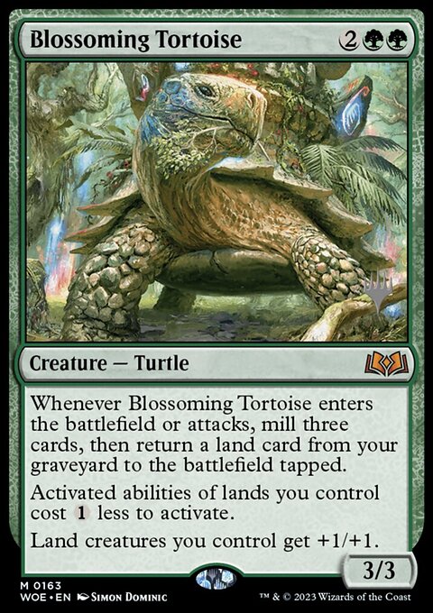 Blossoming Tortoise