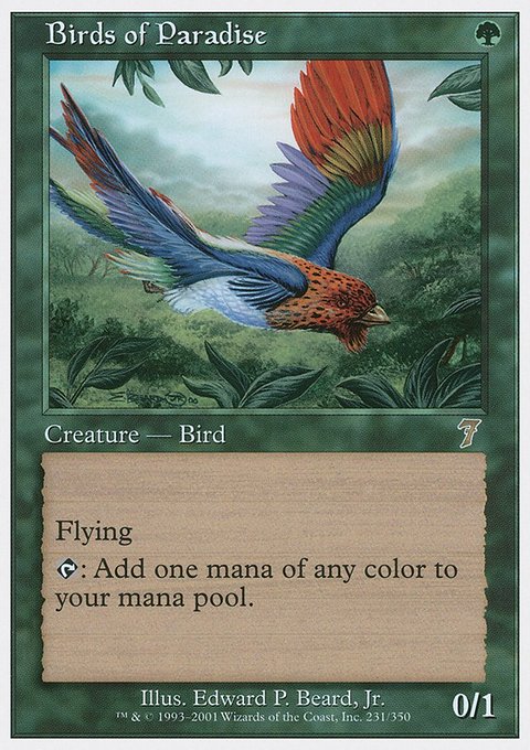 Birds of Paradise