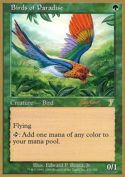 Birds of Paradise