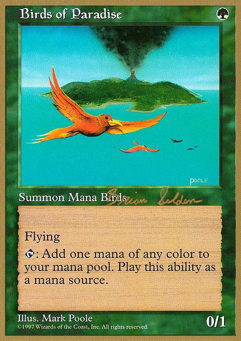 Birds of Paradise