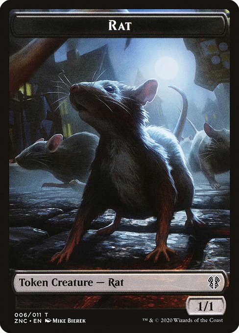 Rat