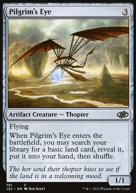 Pilgrim's Eye