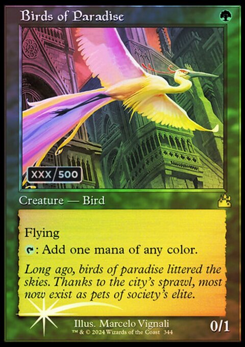 Birds of Paradise