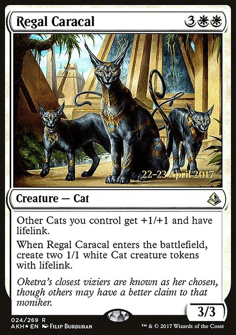 Regal Caracal