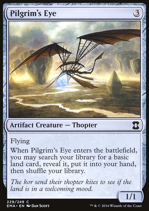 Pilgrim's Eye