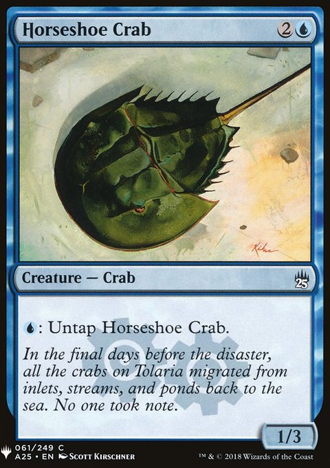 Horseshoe Crab