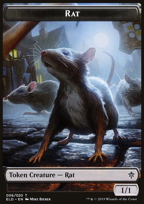 Rat