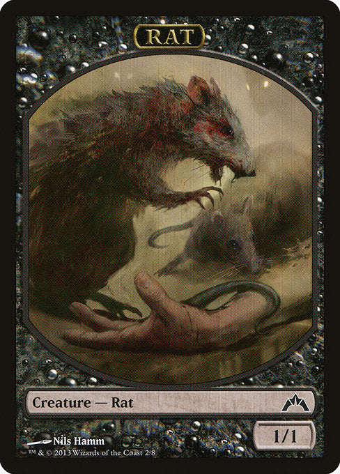 Rat