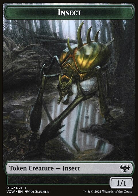Insect