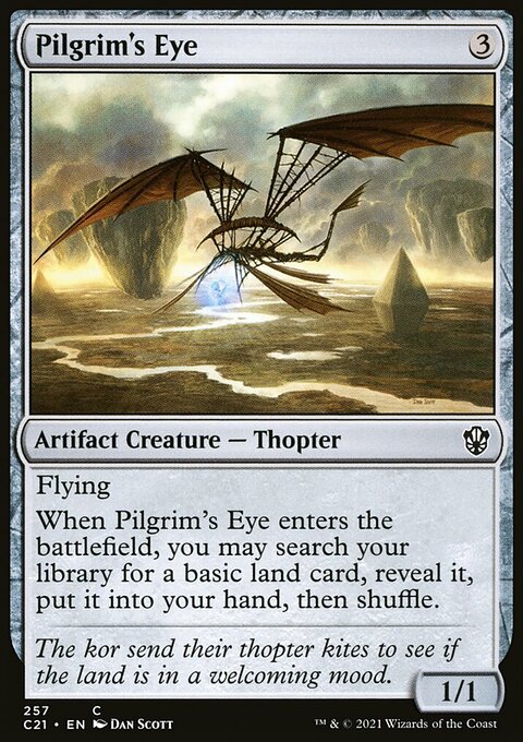 Pilgrim's Eye