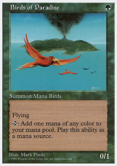 Birds of Paradise